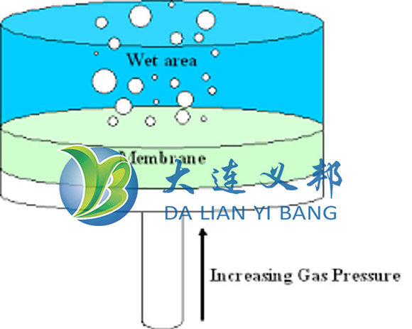 全氟微孔濾膜和微孔濾膜折疊過濾器完整性測試簡介